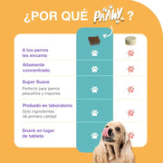 Condroprotetor para cães com glucosamina, condroitina, MSM I para as articulações de cães I anti - inflamatório para cães artrite I 250 g - PetDoctors - Loja Online