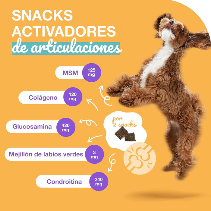 Condroprotetor para cães com glucosamina, condroitina, MSM I para as articulações de cães I anti - inflamatório para cães artrite I 250 g - PetDoctors - Loja Online