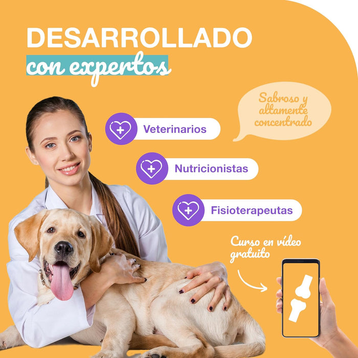 Condroprotetor para cães com glucosamina, condroitina, MSM I para as articulações de cães I anti - inflamatório para cães artrite I 250 g - PetDoctors - Loja Online