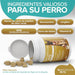 Condroprotetor para Cães com Mexilhão de Lábio Verde, Glucosamina e MSM | Natureflow - PetDoctors - Loja Online