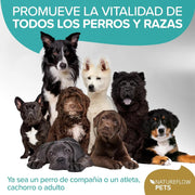 Condroprotetor para Cães com Mexilhão de Lábio Verde, Glucosamina e MSM | Natureflow - PetDoctors - Loja Online