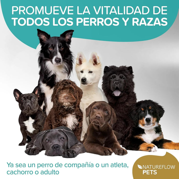 Condroprotetor para Cães com Mexilhão de Lábio Verde, Glucosamina e MSM | Natureflow - PetDoctors - Loja Online