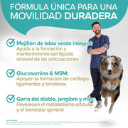 Condroprotetor para Cães com Mexilhão de Lábio Verde, Glucosamina e MSM | Natureflow - PetDoctors - Loja Online