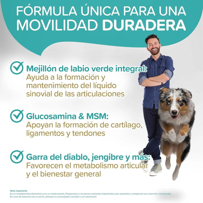 Condroprotetor para Cães com Mexilhão de Lábio Verde, Glucosamina e MSM | Natureflow - PetDoctors - Loja Online