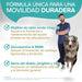 Condroprotetor para Cães com Mexilhão de Lábio Verde, Glucosamina e MSM | Natureflow - PetDoctors - Loja Online
