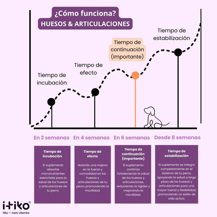 Condroprotetor para cães grandes e pequenos | proteção de ossos e articulações para cães, com mexilhão de lábios verdes, MSM, glucosamina, condroitina e ômega 3 para cães - PetDoctors - Loja Online