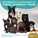 Condroprotetor / Suplemento para articulações de cães: com mexilhão de lábios verdes, MSM (100 unidades) - PetDoctors - Loja Online