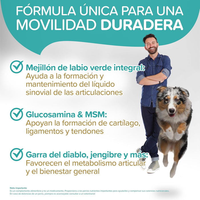 Condroprotetor / Suplemento para articulações de cães: com mexilhão de lábios verdes, MSM (100 unidades) - PetDoctors - Loja Online