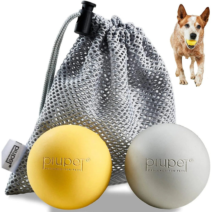 Conjunto de 2 Bolas para Cães, Resistentes a Mordidas - PetDoctors - Loja Online