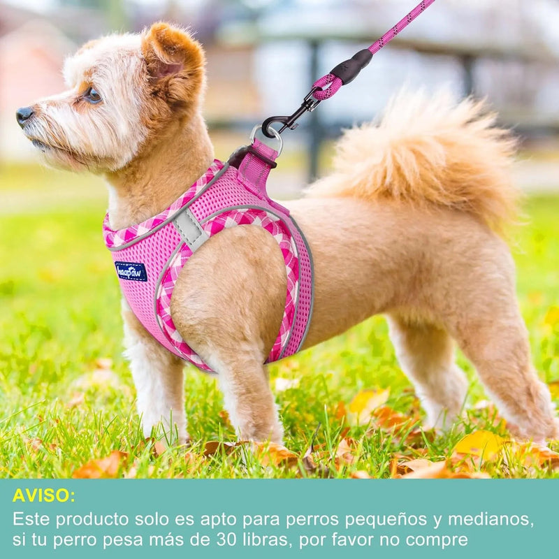 Conjunto de arnês refletor e trela para cão, ajustável e acolchoado - PetDoctors - Loja Online