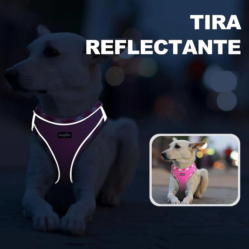 Conjunto de arnês refletor e trela para cão, ajustável e acolchoado - PetDoctors - Loja Online
