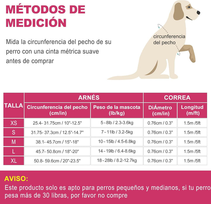 Conjunto de arnês refletor e trela para cão, ajustável e acolchoado - PetDoctors - Loja Online