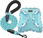 Conjunto de arnês refletor e trela para cão, ajustável e acolchoado - PetDoctors - Loja Online