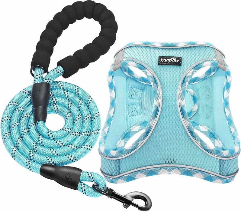 Conjunto de arnês refletor e trela para cão, ajustável e acolchoado - PetDoctors - Loja Online