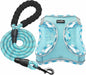 Conjunto de arnês refletor e trela para cão, ajustável e acolchoado - PetDoctors - Loja Online