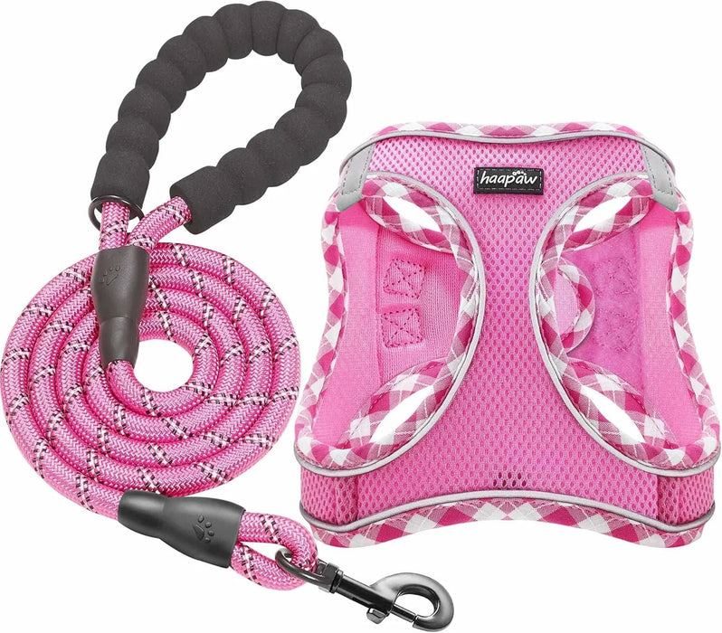 Conjunto de arnês refletor e trela para cão, ajustável e acolchoado - PetDoctors - Loja Online