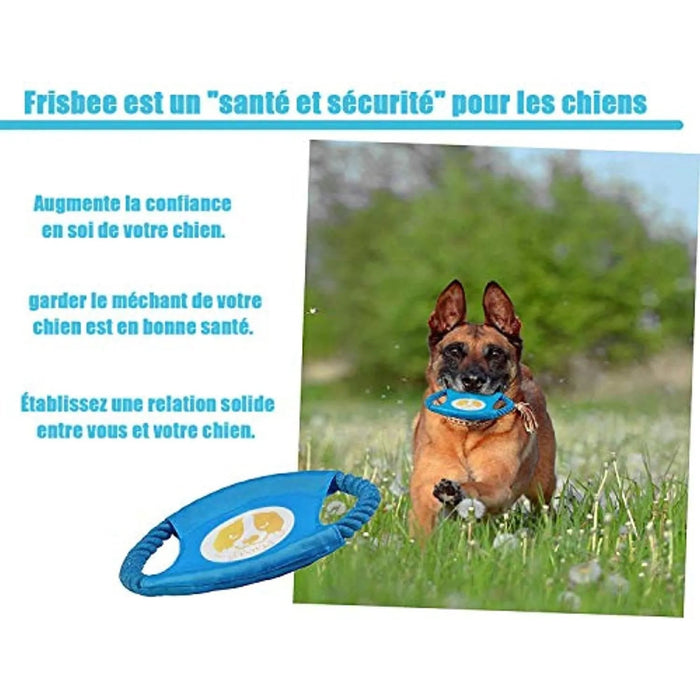Conjunto de brinquedos e jogos para Cães (10 peças diferentes) - PetDoctors - Loja Online