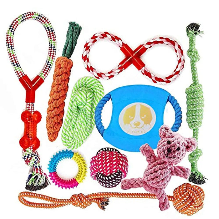 Conjunto de brinquedos e jogos para Cães (10 peças diferentes) - PetDoctors - Loja Online