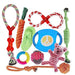 Conjunto de brinquedos e jogos para Cães (10 peças diferentes) - PetDoctors - Loja Online