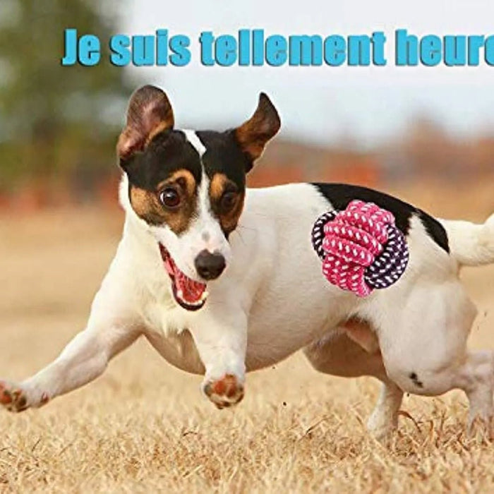 Conjunto de brinquedos e jogos para Cães (10 peças diferentes) - PetDoctors - Loja Online