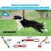 Conjunto de brinquedos e jogos para Cães (10 peças diferentes) - PetDoctors - Loja Online