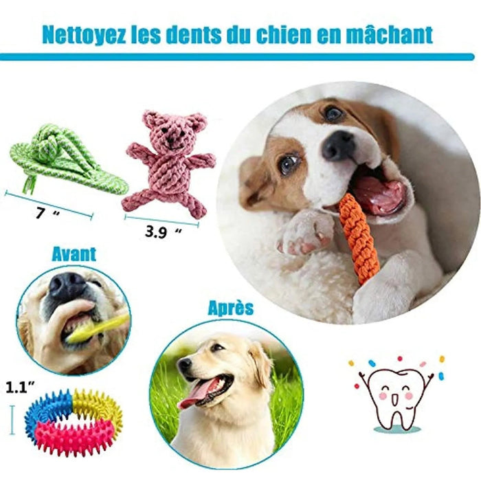 Conjunto de brinquedos e jogos para Cães (10 peças diferentes) - PetDoctors - Loja Online