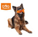 Conjunto de Escova de Dentes e Pasta de Dentes "Natural Dog" para Cães, 100% Natural - PetDoctors - Loja Online