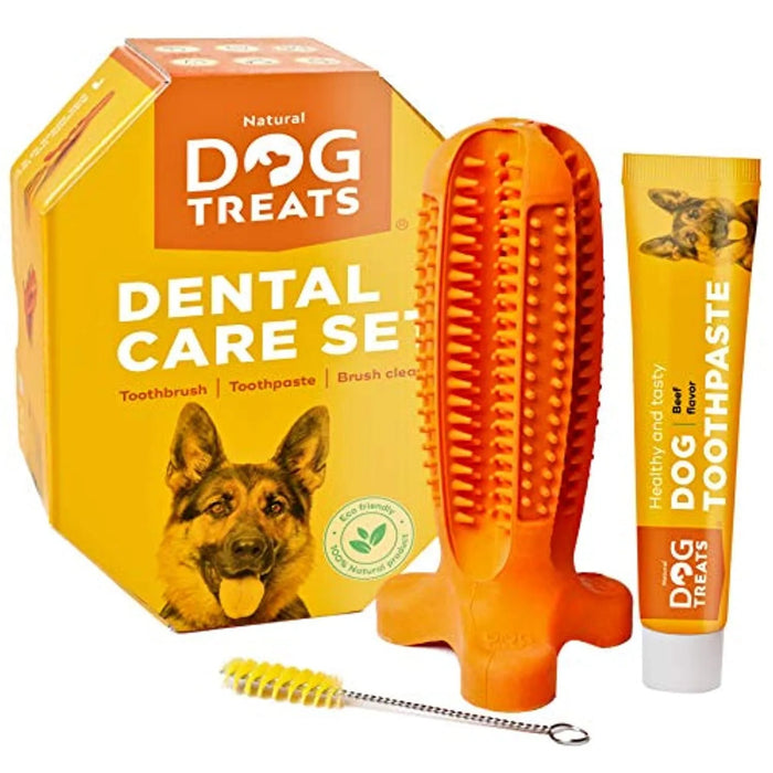 Conjunto de Escova de Dentes e Pasta de Dentes "Natural Dog" para Cães, 100% Natural - PetDoctors - Loja Online