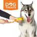 Conjunto de Higiene Oral para Cães com 4 Tubos de Pasta de Dentes + Escova + Espremedor Natural Dog Treats - PetDoctors - Loja Online