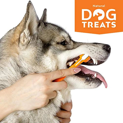 Conjunto de Higiene Oral para Cães com 4 Tubos de Pasta de Dentes + Escova + Espremedor Natural Dog Treats - PetDoctors - Loja Online