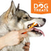 Conjunto de Higiene Oral para Cães com 4 Tubos de Pasta de Dentes + Escova + Espremedor Natural Dog Treats - PetDoctors - Loja Online