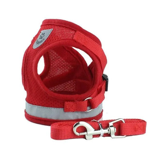 Conjunto de Trela e Peitoral para Gatos (ou cães de raças pequenas) - PetDoctors - Loja Online