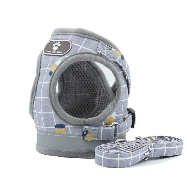 Conjunto de Trela e Peitoral para Gatos (ou cães de raças pequenas) - PetDoctors - Loja Online