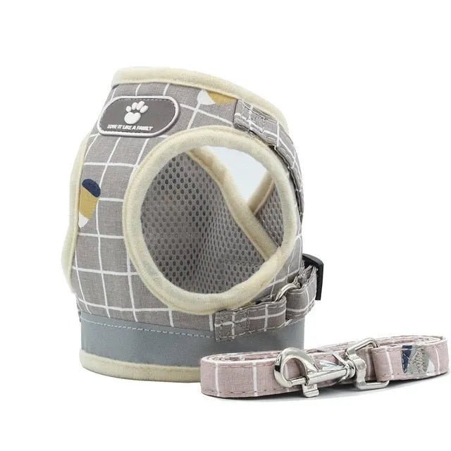 Conjunto de Trela e Peitoral para Gatos (ou cães de raças pequenas) - PetDoctors - Loja Online