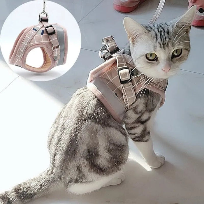 Conjunto de Trela e Peitoral para Gatos (ou cães de raças pequenas) - PetDoctors - Loja Online