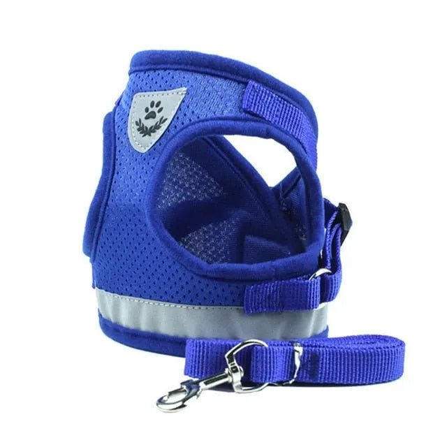 Conjunto de Trela e Peitoral para Gatos (ou cães de raças pequenas) - PetDoctors - Loja Online