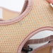 Conjunto de Trela e Peitoral para Gatos (ou cães de raças pequenas) - PetDoctors - Loja Online