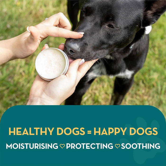 Creme Calmante natural para patas, nariz e pele de cães e gatos, creme hidratante para reparar a pele seca e rachada, para a pele e as almofadas dos animais de estimação - PetDoctors - Loja Online