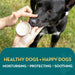Creme Calmante natural para patas, nariz e pele de cães e gatos, creme hidratante para reparar a pele seca e rachada, para a pele e as almofadas dos animais de estimação - PetDoctors - Loja Online