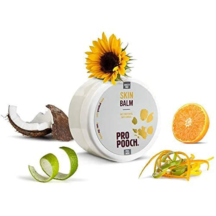 🐶 Creme para as Almofadinhas das Patas dos Cães - Bálsamo para Patas, 100 ml - Pomada Hidratante Pro Pooch - PetDoctors - Loja Online