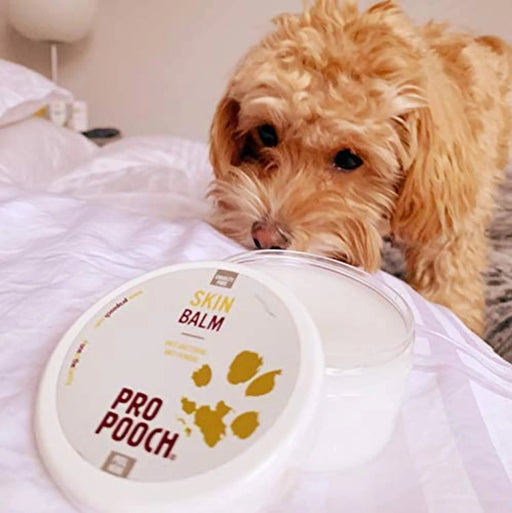 🐶 Creme para as Almofadinhas das Patas dos Cães - Bálsamo para Patas, 100 ml - Pomada Hidratante Pro Pooch - PetDoctors - Loja Online