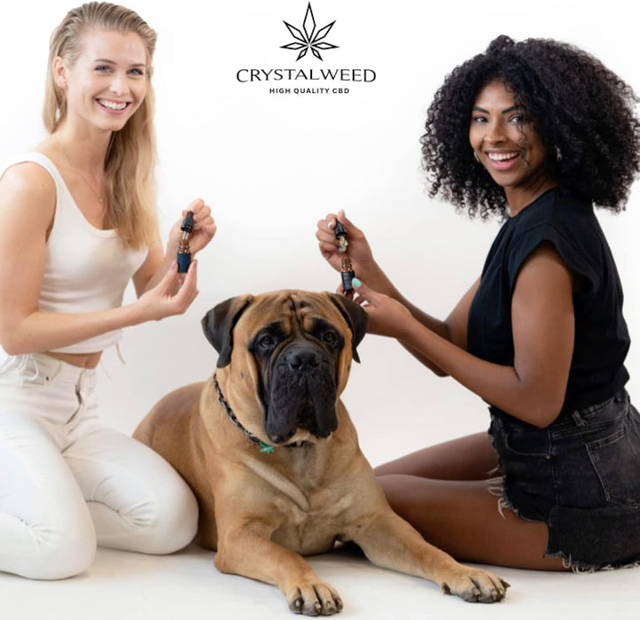 Crystalweed Azeite Pet | Óleo calmante e relaxante para cães e gatos, produto 100% vegetal para uso veterinário - PetDoctors - Loja Online