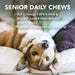 Daily Soft Chews - Suplementos para cães idosos, cães adultos ou cachorrinhos - PetDoctors - Loja Online