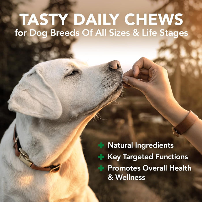 Daily Soft Chews - Suplementos para cães idosos, cães adultos ou cachorrinhos - PetDoctors - Loja Online