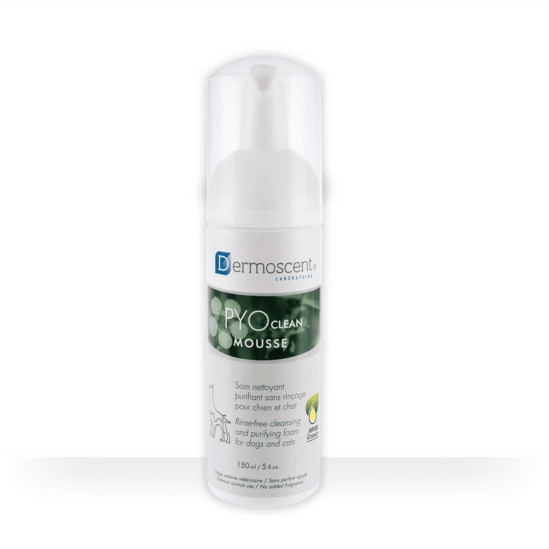 Dermoscent PYOCLEAN Mousse 150 ml - Champô seco para Cães e Gatos - PetDoctors - Loja Online