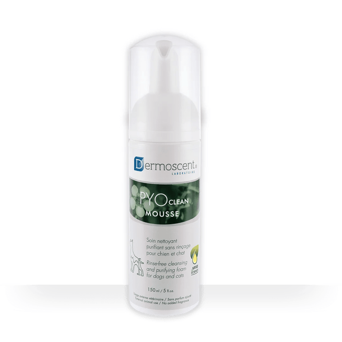 Dermoscent PYOCLEAN Mousse 150 ml - Champô seco para Cães e Gatos - PetDoctors - Loja Online
