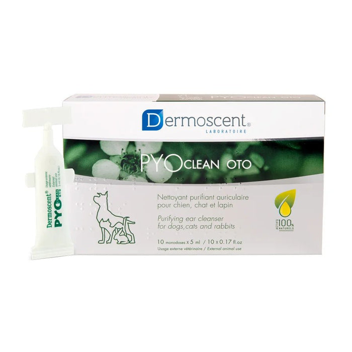 Dermoscent PYOCLEAN OTO 10 Pipetas - Limpeza Auricular - PetDoctors - Loja Online