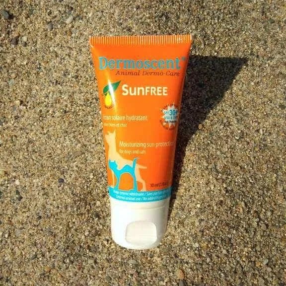 DERMOSCENT SUNFREE 30 ML - Protector Solar (nariz, patas, orelhas) - PetDoctors - Loja Online