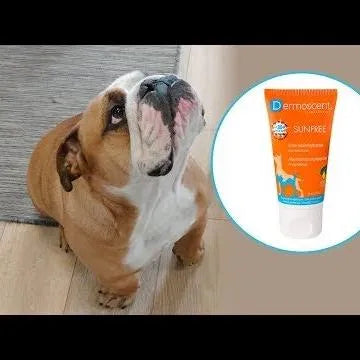 DERMOSCENT SUNFREE 30 ML - Protector Solar (nariz, patas, orelhas) - PetDoctors - Loja Online