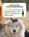 Desembaraçante de nós para cães ou gatos spray instantâneo - ideal para desfazer nós de pelo - evita a formação de nós - PetDoctors - Loja Online